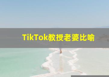 TikTok教授老婆比喻