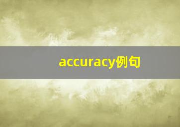 accuracy例句