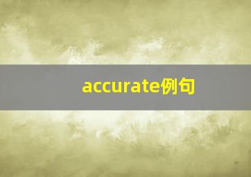 accurate例句