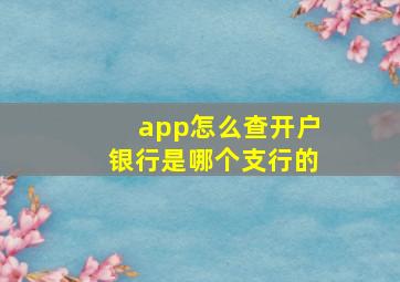 app怎么查开户银行是哪个支行的