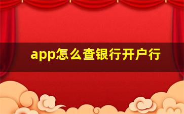 app怎么查银行开户行