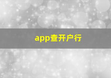 app查开户行