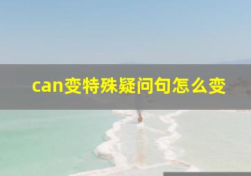 can变特殊疑问句怎么变