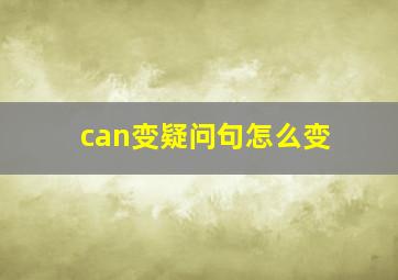 can变疑问句怎么变