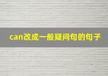 can改成一般疑问句的句子