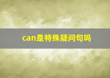 can是特殊疑问句吗