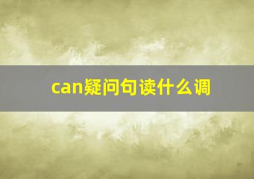 can疑问句读什么调