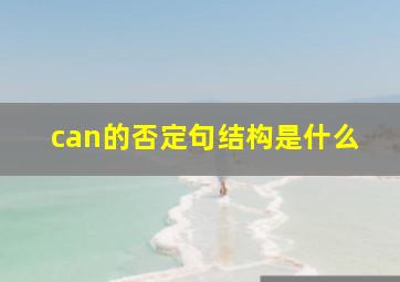 can的否定句结构是什么