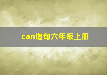 can造句六年级上册