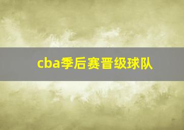 cba季后赛晋级球队