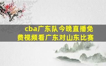 cba广东队今晚直播免费视频看广东对山东比赛