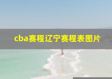 cba赛程辽宁赛程表图片