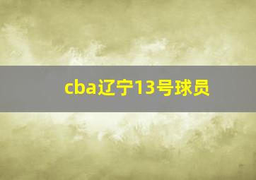 cba辽宁13号球员