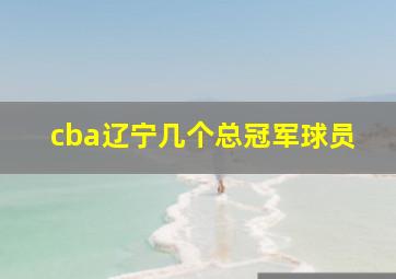 cba辽宁几个总冠军球员