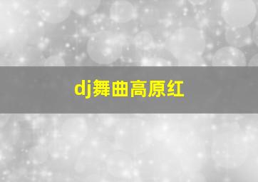 dj舞曲高原红