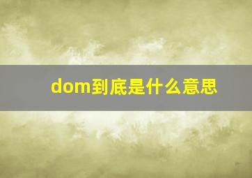 dom到底是什么意思