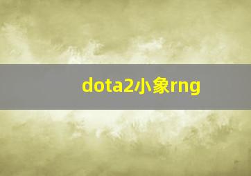 dota2小象rng