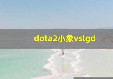 dota2小象vslgd