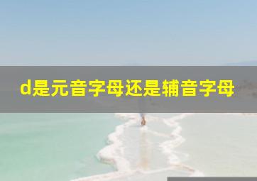 d是元音字母还是辅音字母