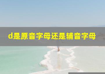 d是原音字母还是辅音字母