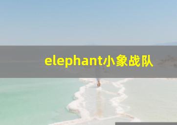 elephant小象战队