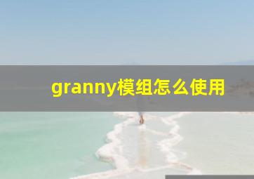 granny模组怎么使用