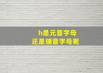 h是元音字母还是辅音字母呢