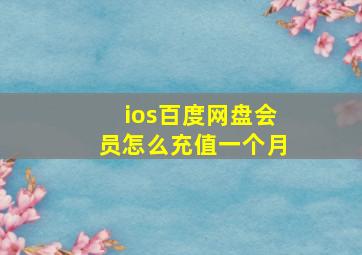 ios百度网盘会员怎么充值一个月