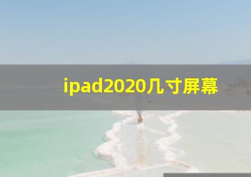 ipad2020几寸屏幕