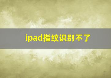 ipad指纹识别不了