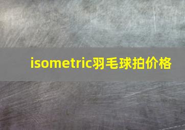 isometric羽毛球拍价格