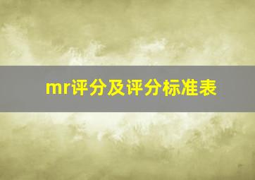 mr评分及评分标准表