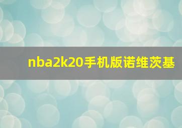 nba2k20手机版诺维茨基