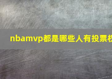 nbamvp都是哪些人有投票权