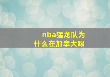 nba猛龙队为什么在加拿大踢