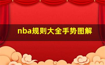 nba规则大全手势图解