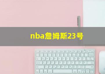 nba詹姆斯23号