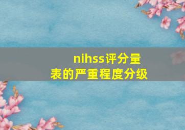 nihss评分量表的严重程度分级