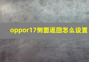 oppor17侧面返回怎么设置