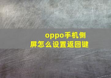 oppo手机侧屏怎么设置返回键