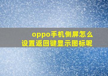 oppo手机侧屏怎么设置返回键显示图标呢