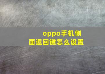 oppo手机侧面返回键怎么设置