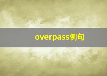 overpass例句