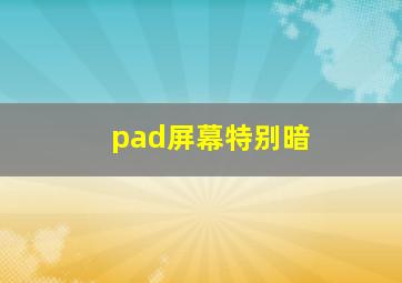 pad屏幕特别暗