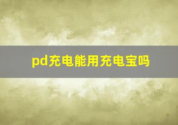 pd充电能用充电宝吗