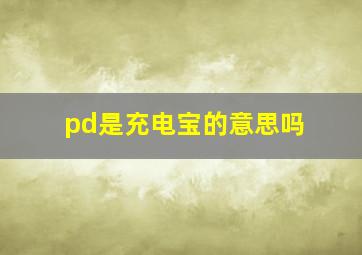 pd是充电宝的意思吗