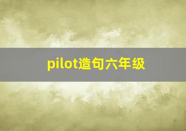 pilot造句六年级