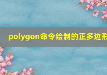 polygon命令绘制的正多边形