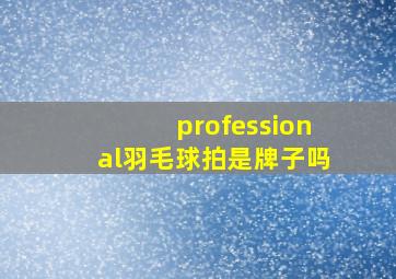 professional羽毛球拍是牌子吗