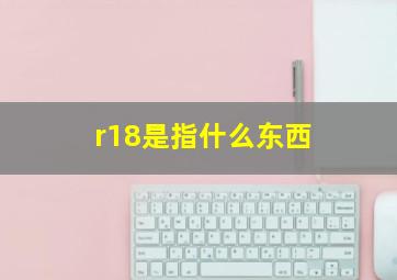 r18是指什么东西